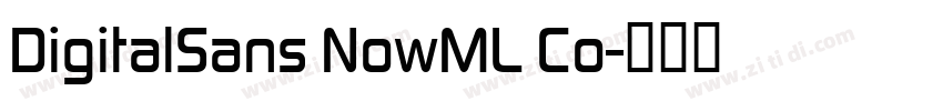 DigitalSans NowML Co字体转换